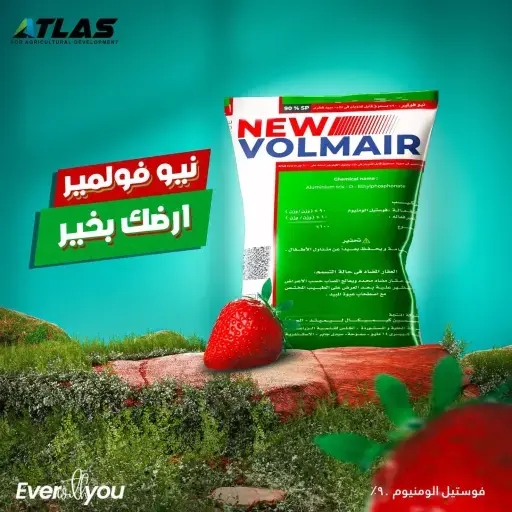نيو فولمير 90 % فوستيل الألومنيوم مبيد فطري 900جم